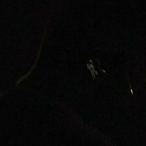 Meet your Posher, Deanna